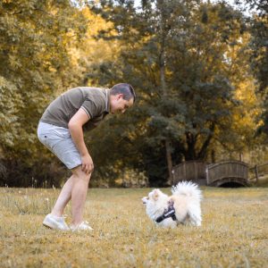 Séance Animaux de compagnie